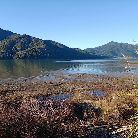 Marlborough Sounds Accommodation 792 Havelock Esterno foto